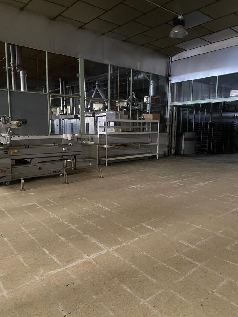 BANDEJAS Y ESTANTERIAS.JPG